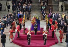 29864456-coffin-of-the-queen-zfe-1 Sarg der Queen