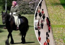 Queen Elizabeth II. eine riesige Pferdefreundin. Ihr Pony Emma liebte sie in besonderer Weise, weshalb es auch beim Trauerzug teilnahm (Fotomontage).