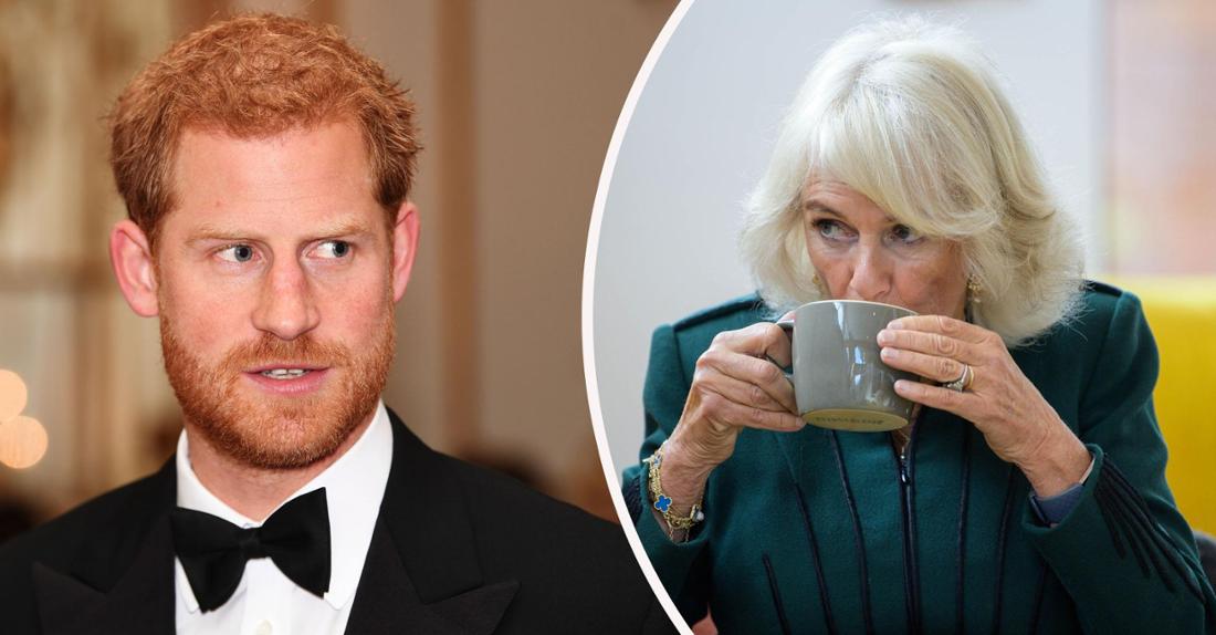 29907435-camilla-said-to-have-almost-choked-on-her-tea-as-prince-harry-of-the-royal-family-his-offer-of-reconciliation-photomontage-2itzlm5z4nbg Camilla soll sich fast an ihrem Tee verschluckt haben, als Prinz Harry der Royal Family sein Versöhnungsangebot unterbreitete (Fotomontage).