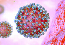 Grafische Darstellung Corona-Virus Corona-Virus Mikroskopische Ansicht SARS-CoV-2-Variante Omi