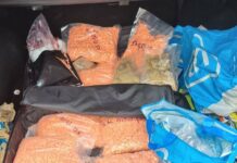 30131035-customs-seize-more-than-34-kilograms-of-drugs-3wfe-1 Zoll beschlagnahmt mehr als 34 Kilogramm Drogen