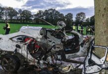 30137749-car-hit-against-tree-7fe-1 Auto prallt gegen Baum -