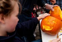 30144440-with-cutter-knife-and-needle-line-this-is-how-to-make-the-pumpkin-face-3yfe-1 Mit Cuttermesser und Nadel-Linie: So gelingt die Kürbisfratze