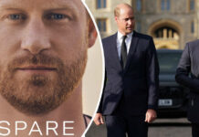 30160580-prinz-harrys-buchtitel-wird-von-marketing-experten-gelobt-fuer-die-windsors-und-besonders-seinen-bruder-prinz-william-den-hire-dt-erben-auf-den-spare-gfe-1 Prinz Harrys Buchtitel wird von Marketing-Experten gelobt, für die Windsors und besonders seinen Bruder Prinz William den „Hire“ (dt. Erben), auf den „Spare“ (dt. „Ersatz“) wird der Lesegenuss vermutlich eher toxisch sein (Fotomontage).