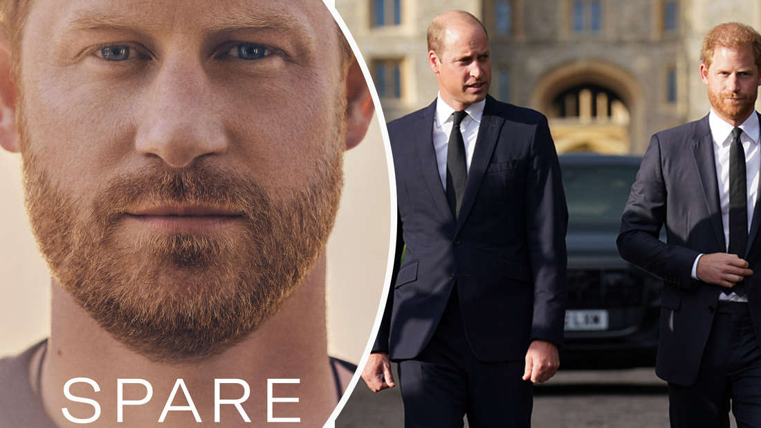 30160580-prinz-harrys-buchtitel-wird-von-marketing-experten-gelobt-fuer-die-windsors-und-besonders-seinen-bruder-prinz-william-den-hire-dt-erben-auf-den-spare-gfe-3 Prinz Harrys Buchtitel wird von Marketing-Experten gelobt, für die Windsors und besonders seinen Bruder Prinz William den „Hire“ (dt. Erben), auf den „Spare“ (dt. „Ersatz“) wird der Lesegenuss vermutlich eher toxisch sein (Fotomontage).
