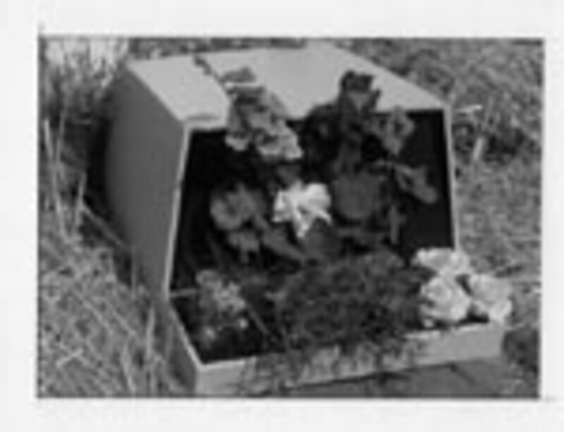 Community Memory - Image 1