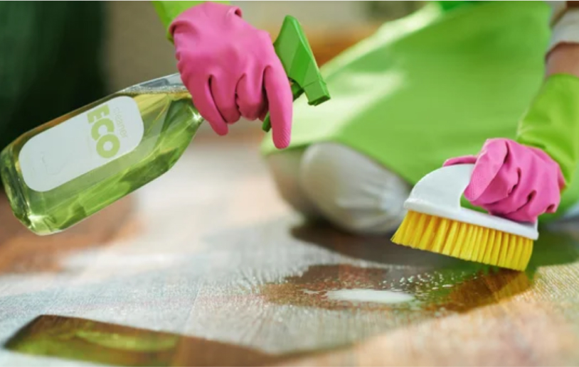 How to Boost Your Cleaning Services Business with a Professional Commentator!