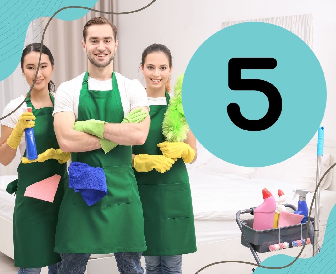 What are the 5 standard in cleaning?