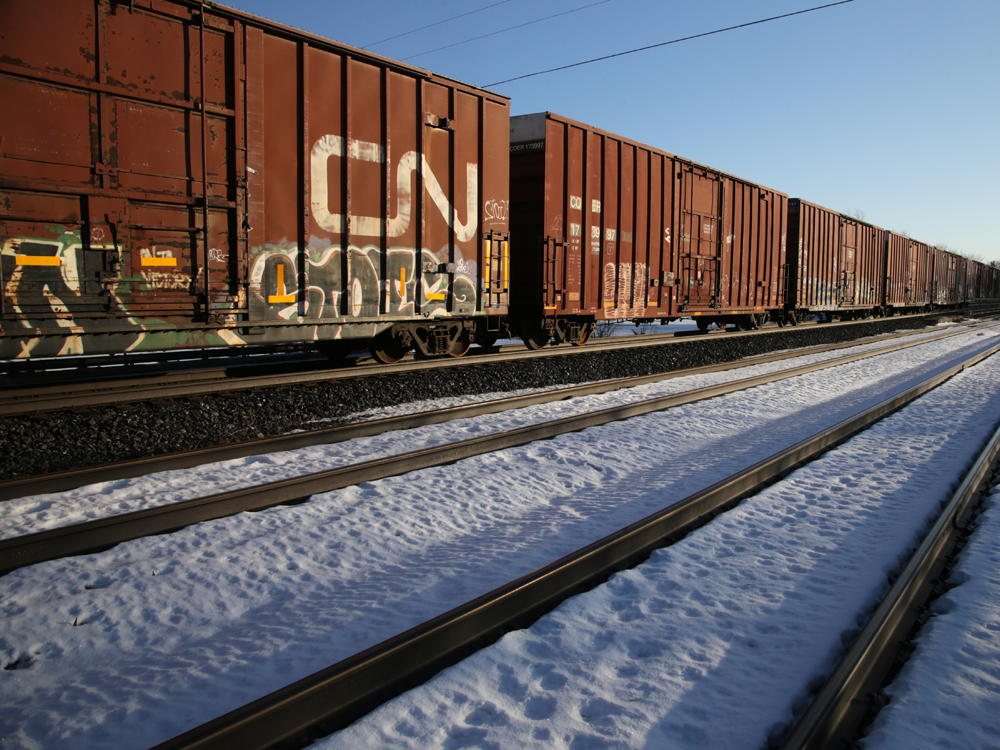 Rail barricades could cut Canadian GDP growth by 0.2 percentage points: RBC