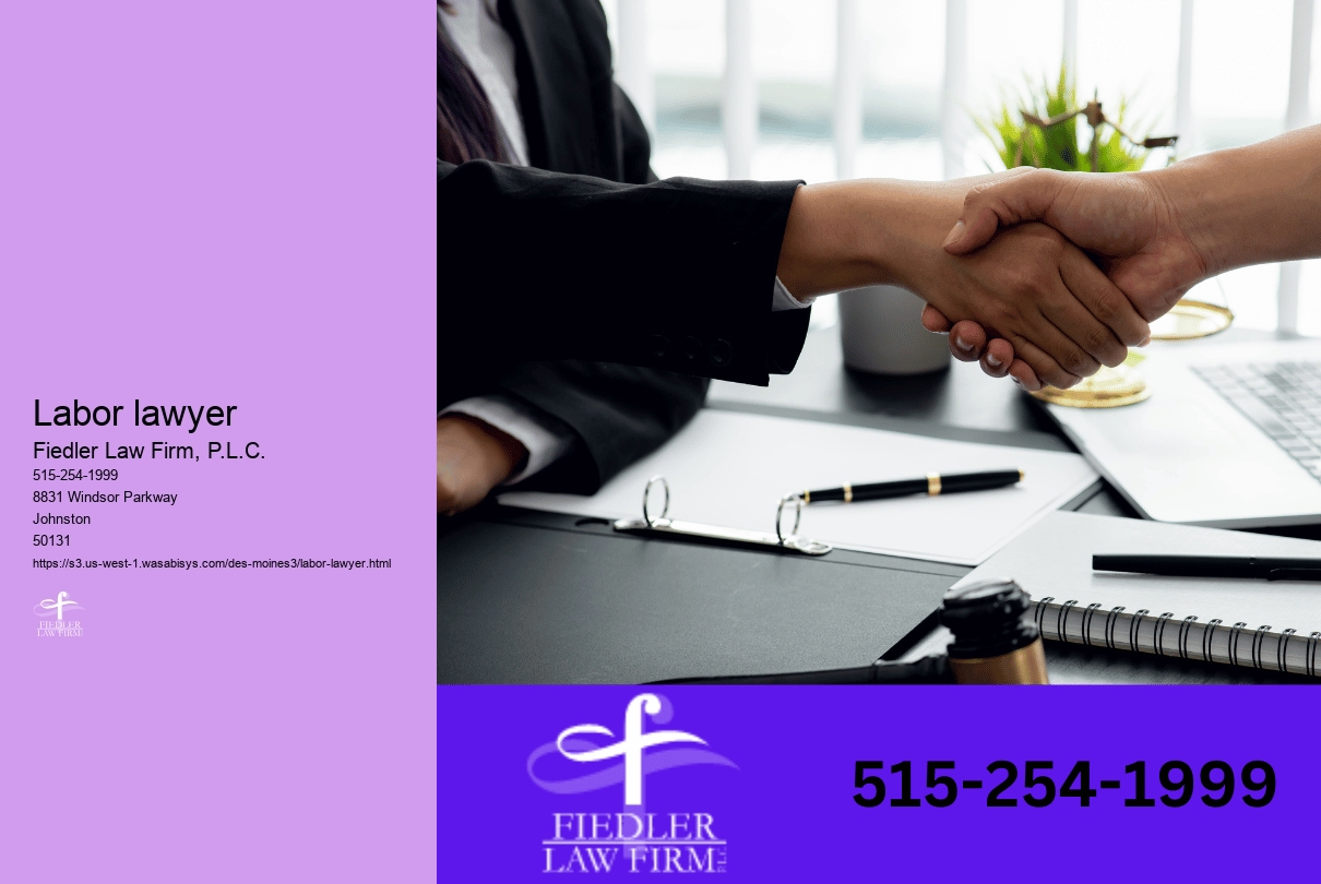 Labor lawyer
