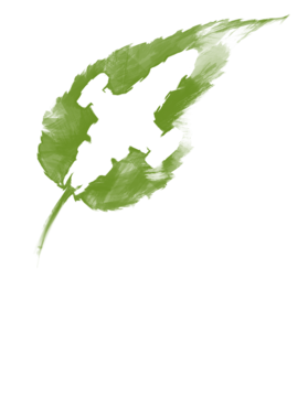 https://s3.us-west-1.wasabisys.com/ecart-content/baboolatees.com/overlays/124/778/1247781.png img