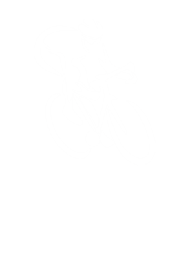 https://s3.us-west-1.wasabisys.com/ecart-content/baboolatees.com/overlays/352/104/35210490.png img