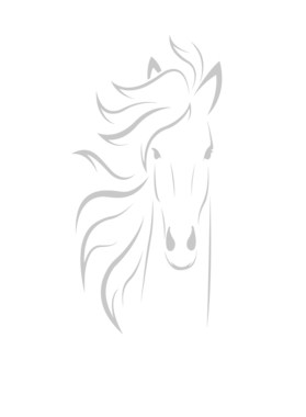 https://s3.us-west-1.wasabisys.com/ecart-content/baboolatees.com/overlays/352/139/35213988.png img