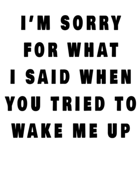 https://s3.us-west-1.wasabisys.com/ecart-content/baboolatees.com/overlays/358/075/35807544.png img