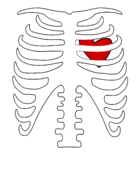 https://s3.us-west-1.wasabisys.com/ecart-content/baboolatees.com/overlays/444/599/4445997.png img