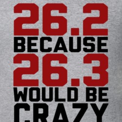 263 Would Be Crazy T Shirt