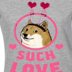 Such Love Funny Graphic T Shirt