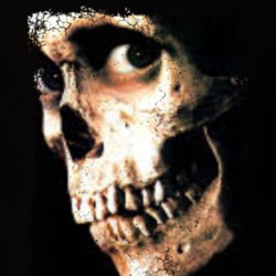 Evil Dead 2 Dead By Dawn Scary Movie Halloween T Shirt
