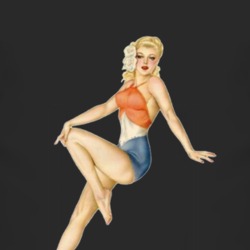 Pin Up Girl T Shirt