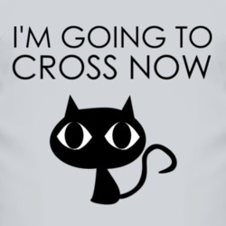 I'm Going To Cross Now Halloween T Shirt