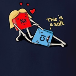 This Is A Salt Funny Chemistry Lover Cool  Geek Nerd Jokes Quotes Gift