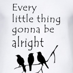 every little thing gonna be alright T Shirt