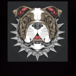 Bull Dog Pit Bull T Shirt