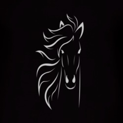 Horse T Shirt