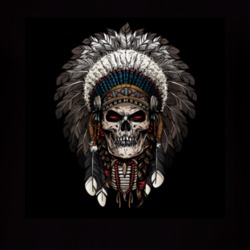 Indian Scull T Shirt