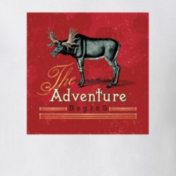 The Adventure Begins T Shirt