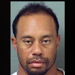 Tiger Woods Mugshot Dui Arrested Golfer Celebrity Sports T Shirt