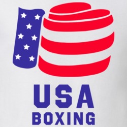 Usa Boxing Patriotic Fighter Glove T Shirt