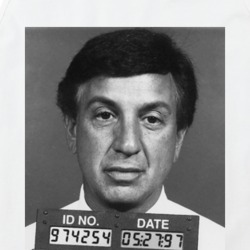 Marv Albert Retro Arrested Sports Celebrity Mugshot Vintage Grunge Loo