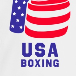 Usa Boxing Patriotic Fighter Glove Crewneck Sweatshirt T Shirt