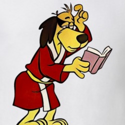 Hong Kong Phooey 70s Cartoon Tv Show T Shirt