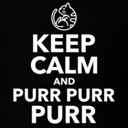 Keep Calm And Purr Purr Purr Soft Kitty Sheldon Big Bang Theory Tv Fan