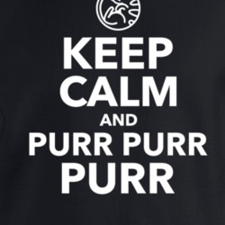 Keep Calm And Purr Purr Purr Soft Kitty Sheldon Big Bang Theory Tv Fan