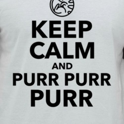 Keep Calm And Purr Purr Purr Soft Kitty Sheldon Big Bang Theory Tv Fan