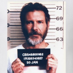 Harrison Ford The Fugitive Celebrity Mugshot Vintage Grunge Look Fan T