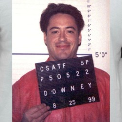 Robert Downey Jr Celebrity Mugshot Vintage Grunge Look Fan Raglan T Sh