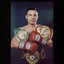 Kostya Tszyu World Champion Boxer Fight Fan Distressed Look T Shirt