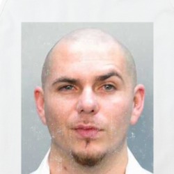 Armando C Perez Pitbull Mugshot Rapper Music Fan Tanktop