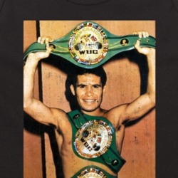 Julio Cesar Chavez Multiple Boxing Champion Fight Vintage Look Fan Tan