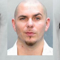 Armando C Perez Pitbull Mugshot Rapper Music Fan Raglan T Shirt