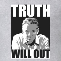 Truth Will Out Julian Assange Wikileaks T Shirt Men's Tees T Shirt