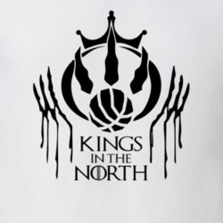 Game Of Thrones Tees Raptors  Men's Gift King In The North T Shirt