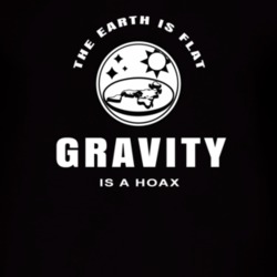 The Earth Is Flat Gravity Is A Hoax Gift Tees T Shirt