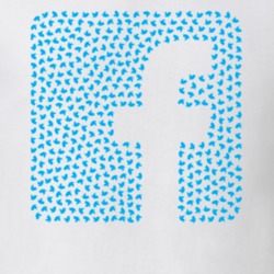 Facebook Twiter Cool  Classic T Shirt