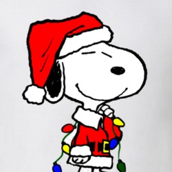 Snoopy Charlie Brown Peanuts Christmas T Shirt
