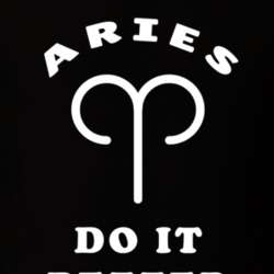 Aries Do It Better Zodiac Funny T Shirt